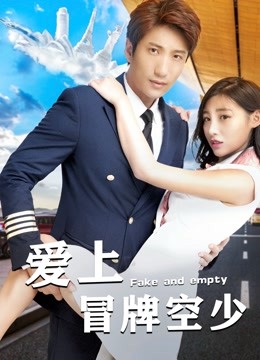爱上冒牌空少 海报 高清在线观看