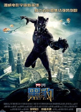 黑豹（普通话） 海报 高清在线观看