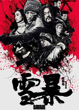 雪暴 海报 高清在线观看