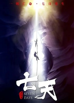 七天 海报 高清在线观看