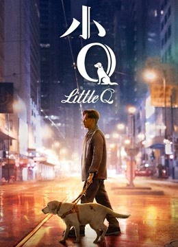 小Q（无障碍解说版） 海报 高清在线观看
