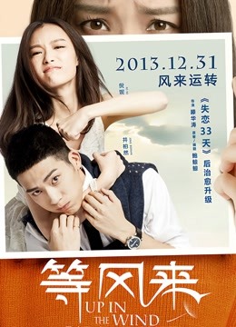 等风来（无障碍解说版） 海报 高清在线观看