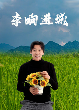 李响进城 海报 高清在线观看