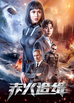 赤火追缉 海报 高清在线观看