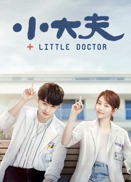 小大夫 海报 高清在线观看
