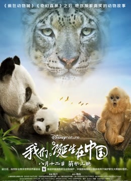 我们诞生在中国 海报 高清在线观看