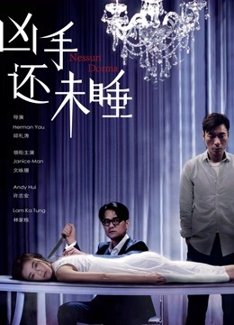 凶手还未睡 海报 高清在线观看