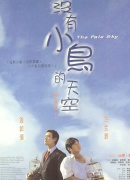 没有小鸟的天空（粤语） 海报 高清在线观看