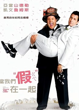我盛大的同志婚礼 海报 高清在线观看