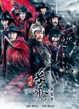 精忠岳飞 海报 高清在线观看