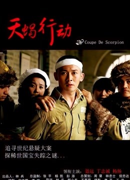 天蝎行动 海报 高清在线观看