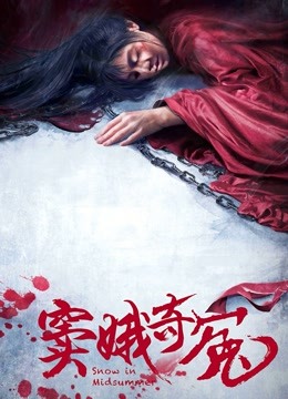 窦娥奇冤 海报 高清在线观看