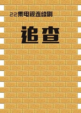 追查 海报 高清在线观看