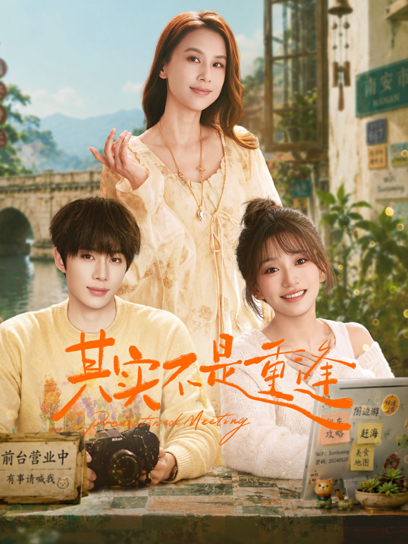 其实不是重逢 海报 高清在线观看