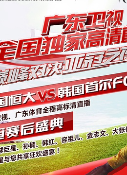 2013亚冠之夜庆典活动 海报 高清在线观看