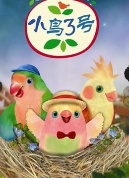 小鸟3号 海报 高清在线观看