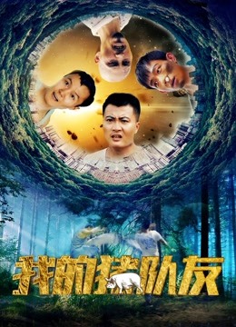 我的猪队友 海报 高清在线观看