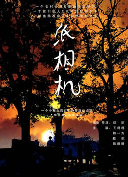 纸相机 海报 高清在线观看