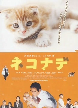 小猫奇缘 海报 高清在线观看