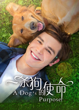 一条狗的使命 海报 高清在线观看
