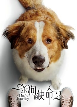 一条狗的使命2 海报 高清在线观看