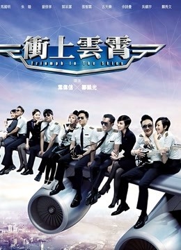 冲上云霄 海报 高清在线观看
