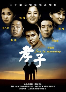 孝子 海报 高清在线观看