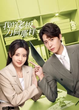 我的老板为何那样 海报 高清在线观看