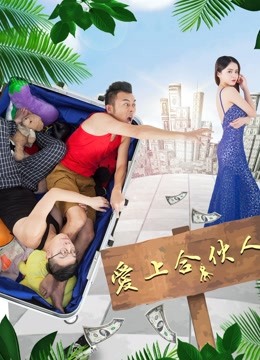 爱上合伙人 海报 高清在线观看
