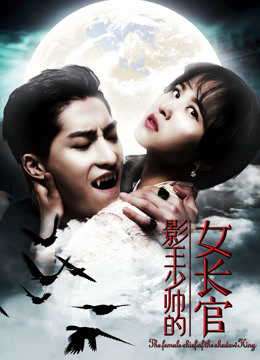 影王少帅的女长官 海报 高清在线观看
