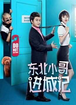 东北小哥进城记 海报 高清在线观看