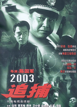 追捕2003版 海报 高清在线观看