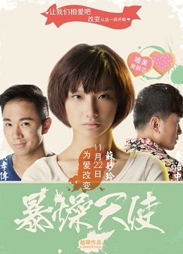 暴躁天使 海报 高清在线观看