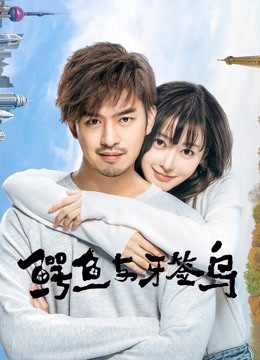 鳄鱼与牙签鸟 海报 高清在线观看