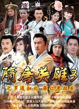 隋唐英雄3DVD版 海报 高清在线观看