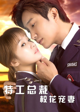 特工总裁校花宠妻 海报 高清在线观看
