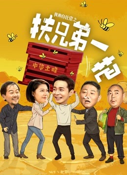 我来自北京之扶兄弟一把 海报 高清在线观看