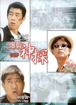 神探二又二分之一 海报 高清在线观看