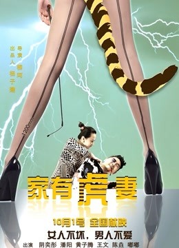 家有虎妻 海报 高清在线观看