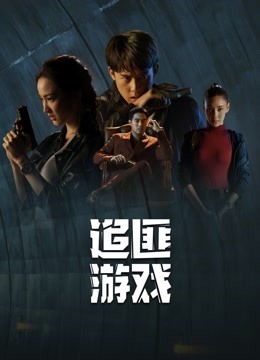 追匪游戏普通话版 海报 高清在线观看