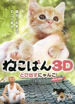 小猫跳出来3D 海报 高清在线观看
