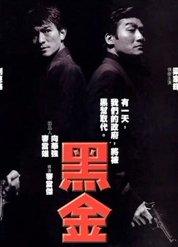黑金（粤语） 海报 高清在线观看