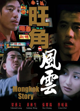 旺角风云 海报 高清在线观看