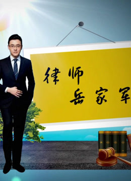 律师岳家军 海报 高清在线观看