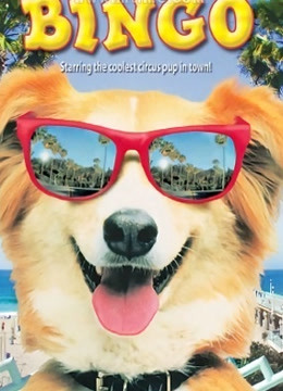 灵犬宾果 海报 高清在线观看
