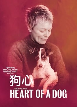 狗心 海报 高清在线观看