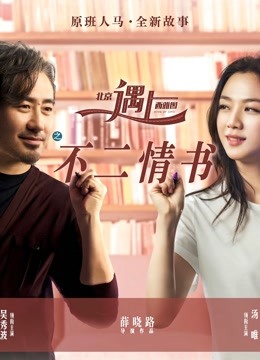 北京遇上西雅图之不二情书 海报 高清在线观看