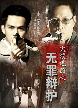 火线追凶之无罪辩护 海报 高清在线观看