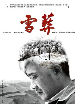 雪·葬 海报 高清在线观看