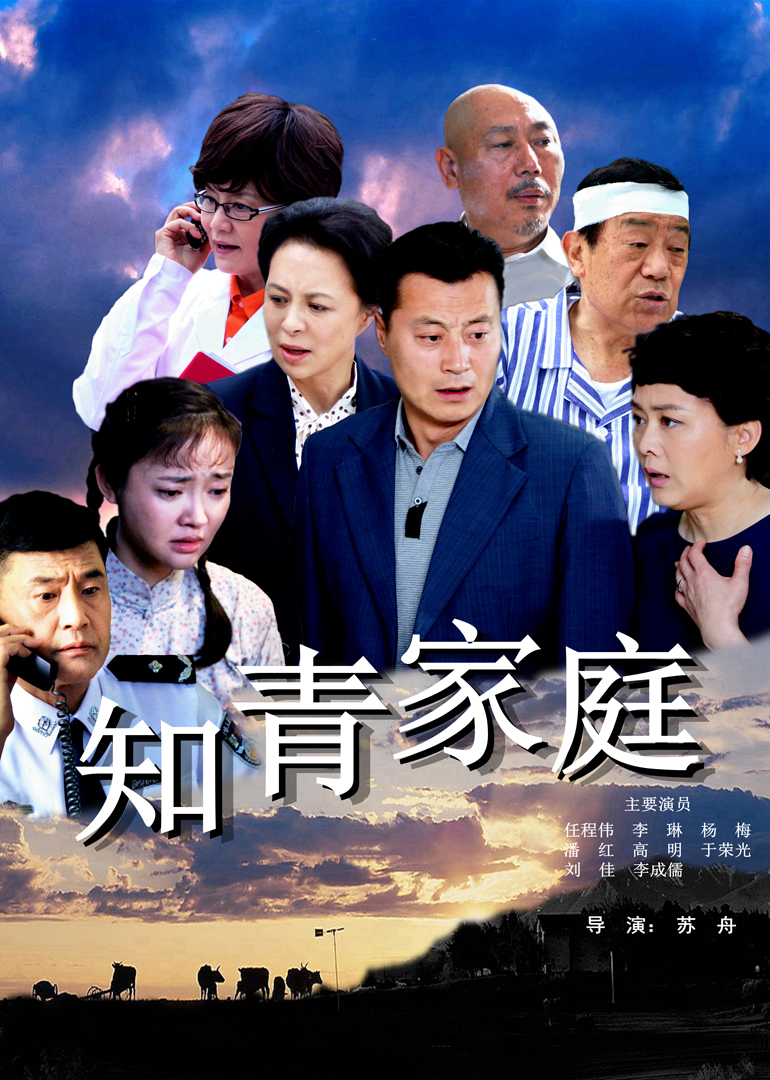 知青家庭 海报 高清在线观看